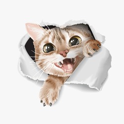 cartoon cute cat through ripped paper illustration