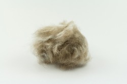 cat hair clump isolated on white, Long hair cat maintenance