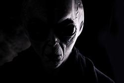 Image of an alien. Grey kind humanoid from an other planet portrait series.