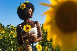 Beautiful african american woman with curly afro style hair in a sunflowers field