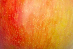 red apple close up details micro shoot skin texture