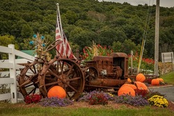 Fall harvest in rural northwest New Jersey