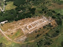 Sardes temple of artemis ruins in trees.