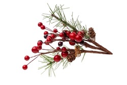 Fir branch, with branches of red berries and snow isolated. christmas tree.Christmas green spruce branch. green fir tree branch, isolated on transparent background png
