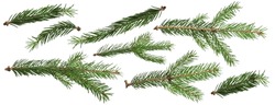 Christmas Fir branch isolated png transparent. christmas tree. Christmas green spruce branch. Object for christmas card, packaging, banner, calendar.