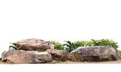 The large stones are on the grass and  Air purifier tree, tropical foliage plants ,isolated on white background.clipping path.