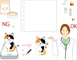 A female veterinarian explains how to take care of an overweight  calico cat with a checklist. 