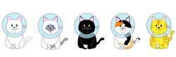 A group of fat cats with elizabethan collar 