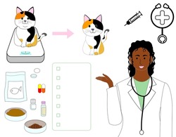 A black female veterinarian explains how to take care of an overweight calico cat with a checklist.