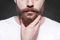 Touching his perfect beard. Close-up of young bearded man touching his beard while standing against grey background