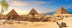 Egypt Pyramids and Sphinx panorama behind the palm with a camel lying by, Cairo, Giza