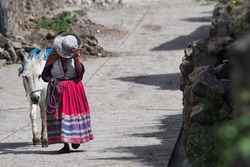 An old woman walking with her donkey in a small village around the Colca canyon in Peru