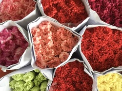 Various color of carnation flowers in bulk at Flower Market