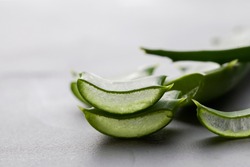 Aloe vera fresh leaves and sliced on grey background. copy space. close up