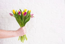 A man's hand holds a beautiful bouquet of tulips against a white brick wall. The concept of the celebration. Greeting card for women's Day on March 8. March 8 and the concept of 