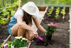 A pretty, young woman in a greenhouse is planting seedlings in the soil. Nearby there are garden supplies. The concept of nature conservation and agriculture.