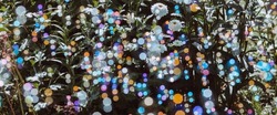 Banner. Festive background with shimmering shiny iridescent transparent soap bubbles on the green grass. Beautiful bokeh.