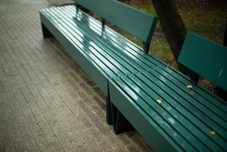 Bench in the park in the rain. Park furniture in bad weather. Wet surface. Seat for rest.