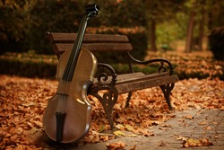 Violin in park