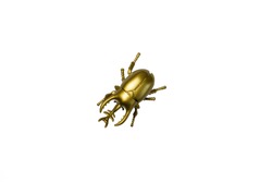 golden bug scarab on white background