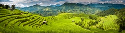 Landscape panorama of Vietnam, terraced rice fields of Hoang Su Phi district, Ha Giang province. Spectacular rice fields. Stitched panorama shot.