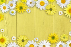 Spring composition. White and yellow daisy flowers on yellow wooden tabletop background.
