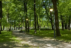 City park with live street lights in May, St. Petersburg