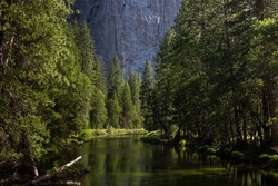 Scenic view of famous Yosemite Valley green river on a beautiful sunny day, Yosemite National Park, California, USA
