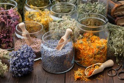 Glass jars of dry lavender and calendula flowers. Jars of dry medicinal herbs for making herbal tea, bunch of dry lavender on table. Alternative medicine.