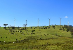 Windmills and meadows in rural Sri Lanka