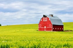 Red barn in the wheat fields of the Palouse region, WA-USA
