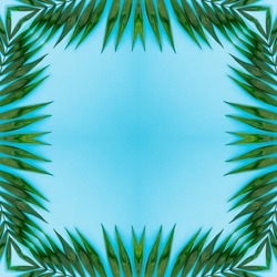 Green mandala from palm leaves on blue background. Mandala made from natural objects. Natural ornament. Symmetry. Fractals and kaleidoscope. abstract kaleidoscopic arabesque. geometrical pattern