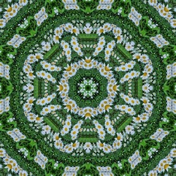 Green mandala from chamomile flower on leaves background. Made from natural object. Spring summer ornament. Symmetry. Fractals and kaleidoscope. abstract kaleidoscopic arabesque. geometrical pattern