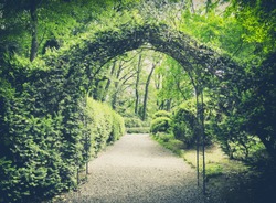 secret garden in vintage style