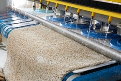 Automatic machine and equipment for carpet washing and dry cleaning
