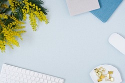 On a blue flat lay background with a yellow mimosa flower, keyboard notepad and stationery clips, a female floral desktop. The concept of a stylish spring morning. top view and copy space