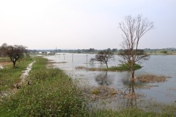 Backwaters near Bidar, Karnataka in India