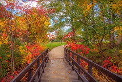 Quaint wooden bridge - a stunning gateway to the awesome fall Colors seen in a Niagara falls Park. The vibrant colours of autumn are mesmerising & give a surreal look to this magical Wonderland.