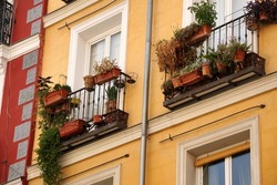  The facade of typical Spanish old house with beautiful balcony with various green plants in summer. Balcony with metal railings.                              
