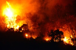 view of a mountain burning at night
