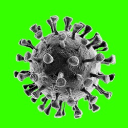 Coronavirus 2019-nCov novel coronavirus concept resposible for SARS-CoV-2 outbreak and coronaviruses influenza as dangerous flu strain cases as a pandemic. Microscope virus close up. 3d rendering.
