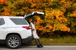 Attractive brunette woman in grey coat, black boots and beige scarf sitting in car trunk. In hand she hold multicolored maple leaves. Picturesque autumn season. Travelling by car. Beauty in nature. 