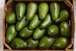 A lot of avocado close up. Healthy and tasty food. Exotic fruit
