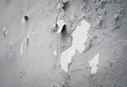 Peeling paint on gray concrete wall. Peeling, cracking, or blistering paint occurs when there is a loss of adhesion between the paint and the surface it's placed on.