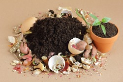 Organic waste, heap of biodegradable vegetable compost with decomposed organic matter on top and seedling in terracota flower pot, closeup, zero waste, eco friendly, waste recycling concept