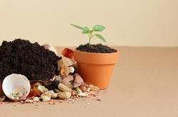 Organic waste, heap of bio compost with decomposed organic matter on top and seedling in terracota flower pot, closeup, zero waste, eco friendly, waste recycling concept