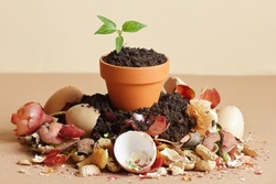 Organic waste, heap of bio compost with decomposed organic matter on top , closeup, zero waste, eco friendly, waste recycling concept