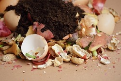 Organic waste, heap of bio compost with decomposed organic matter on top , closeup, zero waste, eco friendly, waste recycling concept