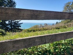 Under a clear, sunny, summery blue sky and within the jungle brush is an antiquated fence that gives a glimpse and peek at the pacific ocean beach in klamath, california on the del norte redwood coast