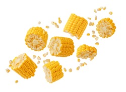 Broken flying sweet corn cob with grains isolated on white. Design element for product label, catalog print.